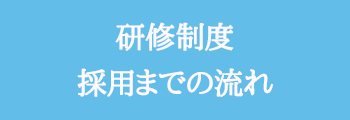 研修制度採用までの流れ